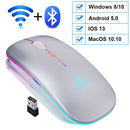 Mouse Led sem Fio Recarregável IMice - Wippas